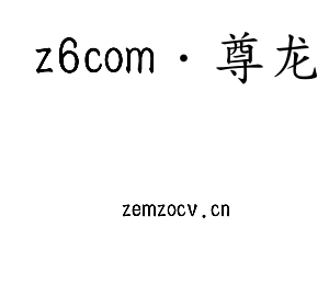 深圳市z6com·尊龙电子有限公司官网